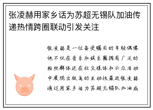 张凌赫用家乡话为苏超无锡队加油传递热情跨圈联动引发关注